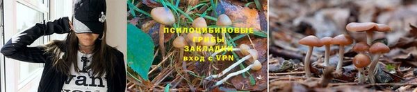 прущая мука Абаза