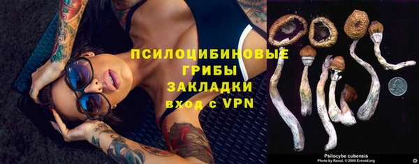 apvp Абдулино